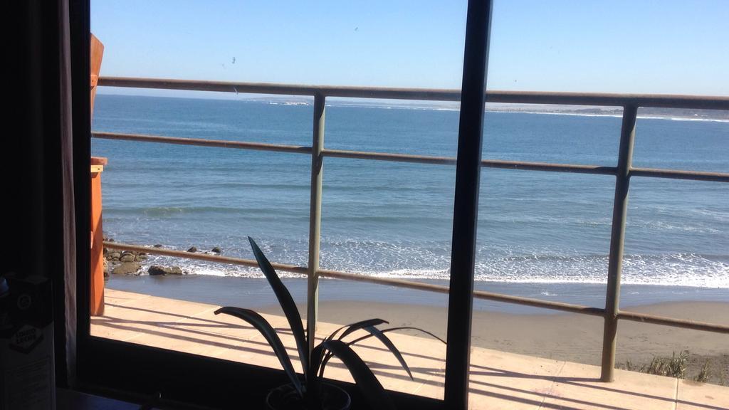 Pinguino En La Roca - Lodge Vina del Mar Ngoại thất bức ảnh