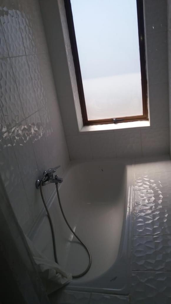 Pinguino En La Roca - Lodge Vina del Mar Ngoại thất bức ảnh