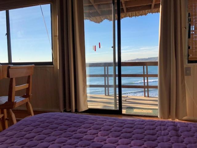 Pinguino En La Roca - Lodge Vina del Mar Ngoại thất bức ảnh