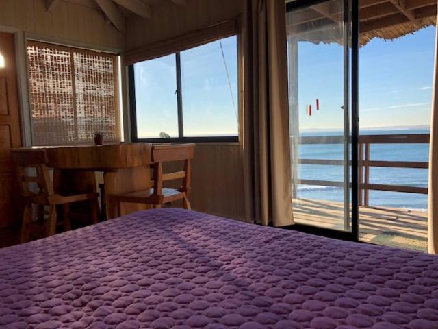 Pinguino En La Roca - Lodge Vina del Mar Ngoại thất bức ảnh