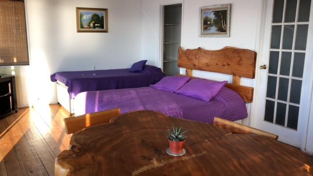Pinguino En La Roca - Lodge Vina del Mar Ngoại thất bức ảnh